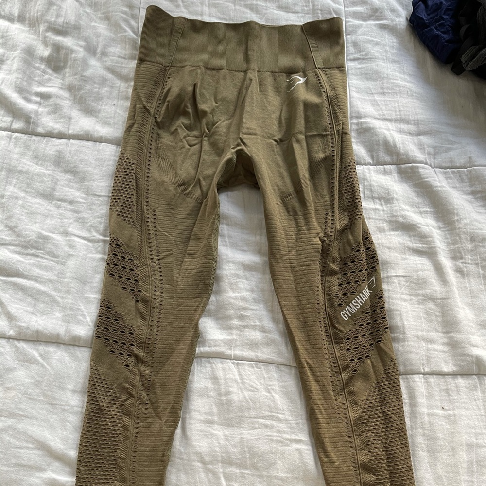 Gym shark Leggings